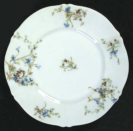 Schleiger 1031 by Haviland