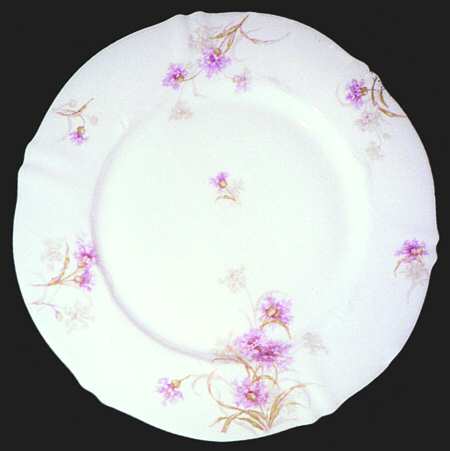 Schleiger 1040 by Haviland