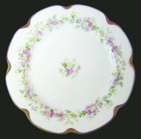 Schleiger 1139 by Haviland