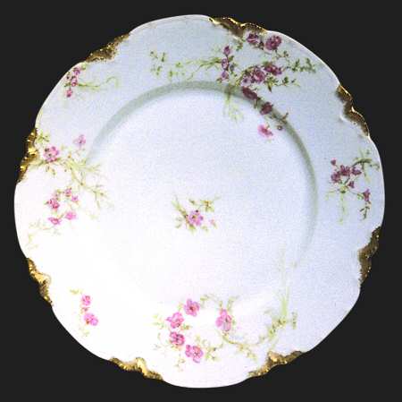 Schleiger 1166 by Haviland