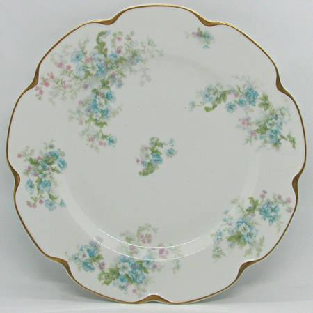 Schleiger 1171 by Haviland