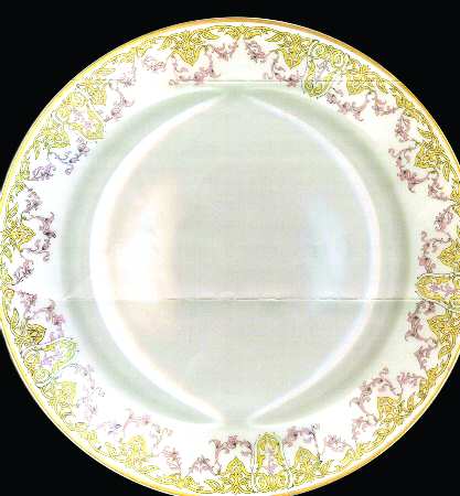 Schleiger 1198 by Haviland