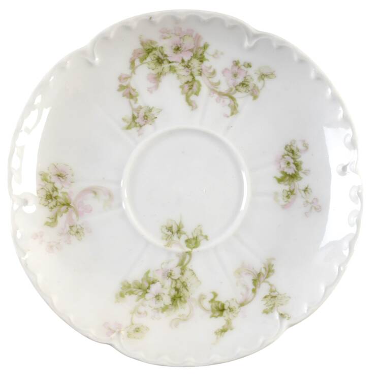 Schleiger 80-1 Saucer