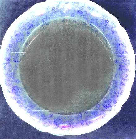 836  Dinner Plate