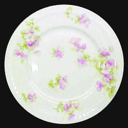 Schleiger 66q by Haviland