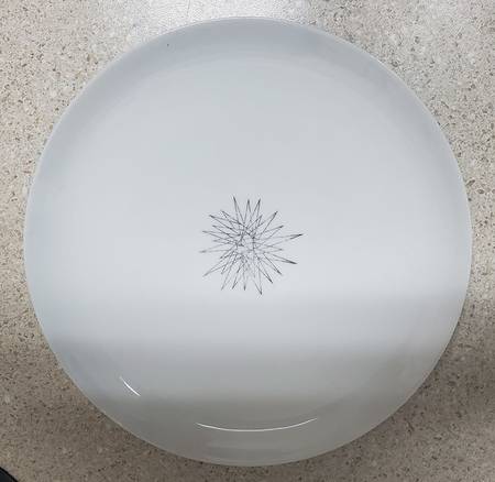 Accent Salad Plate