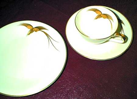 HC684 Dinner Plate