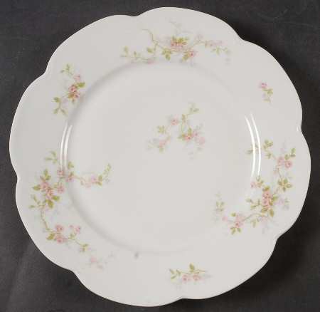 Schleiger 321-1 by Haviland