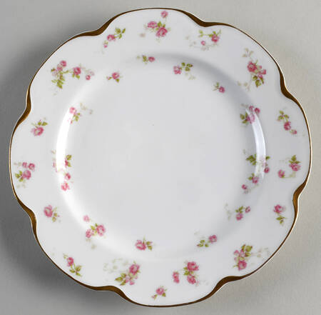 H1702 Luncheon Plate by Haviland