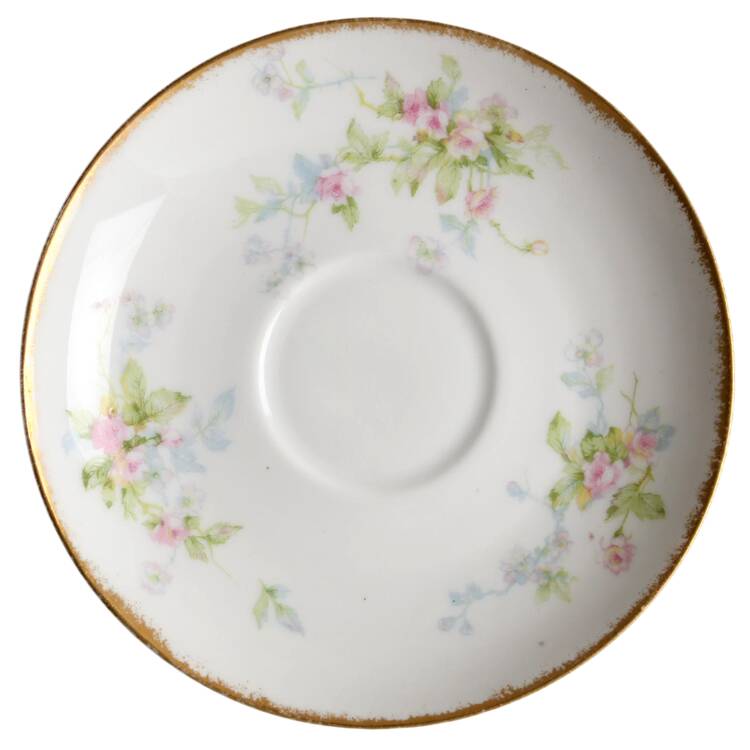 Schleiger 310-3 Saucer