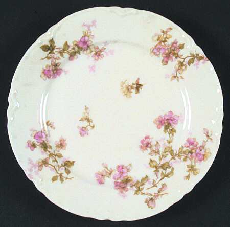 Schleiger 61-1 by Haviland