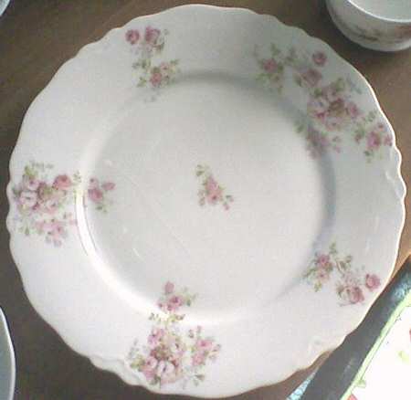 HC717 Dinner Plate