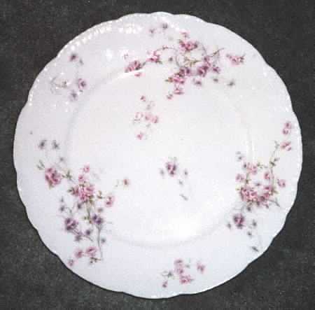 Schleiger 309-2 by Haviland