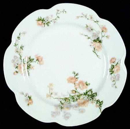 Schleiger 261-4 by Haviland