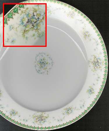 Schleiger 1057-1 by Haviland