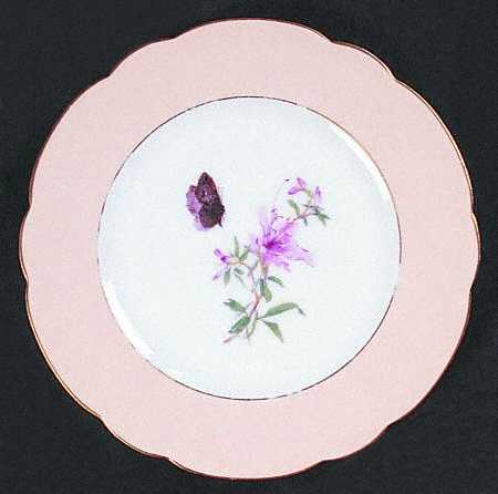 H1857 by Haviland