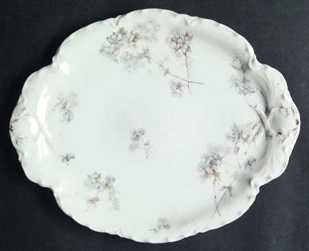 Schleiger 83-1 by Haviland