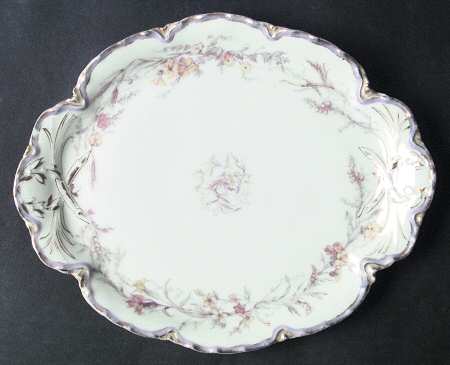 H1893 by Haviland