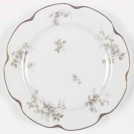 Schleiger 230-1 by Haviland