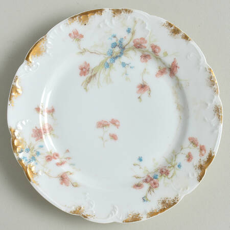 Schleiger 457-3 by Haviland