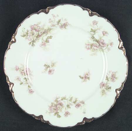 Schleiger 466-1 by Haviland