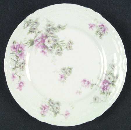 Schleiger 317-4 by Haviland