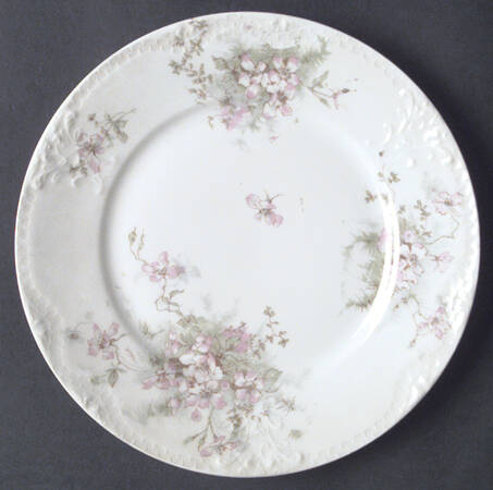 Schleiger 146-3 by Haviland
