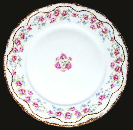 Schleiger 1248 by Haviland