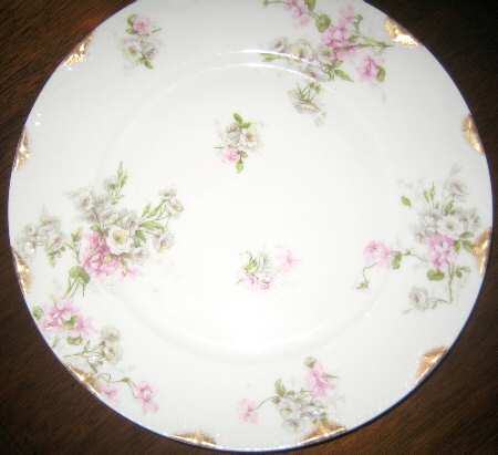 Schleiger 317-5 by Haviland