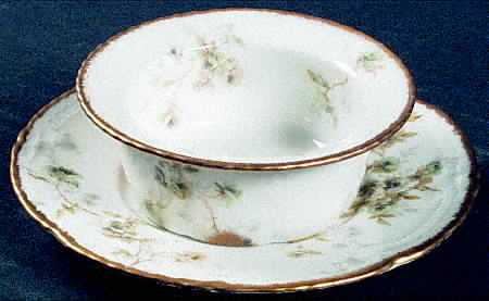 Schleiger 150-9 by Haviland
