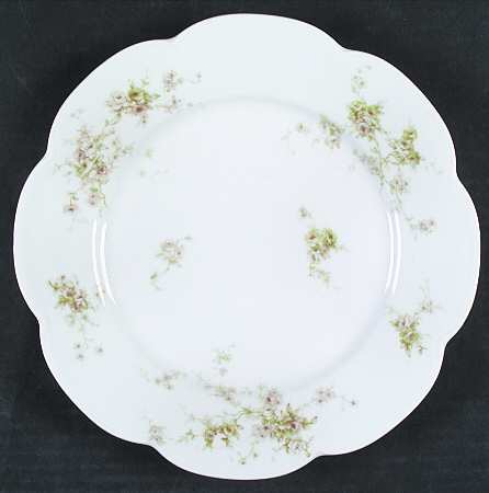 Schleiger 837-5 by Haviland