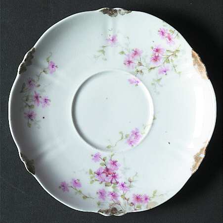 Schleiger 314-4 by Haviland