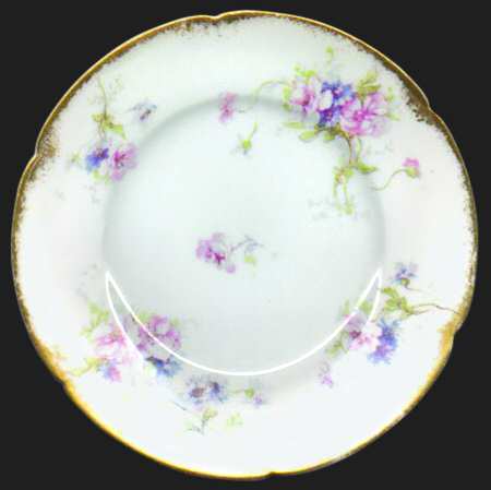 Schleiger 156-3 by Haviland
