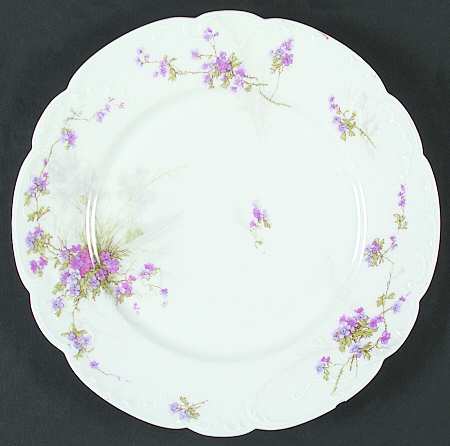 Schleiger 56-1 by Haviland