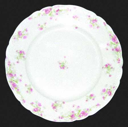 Schleiger 262-1 by Haviland