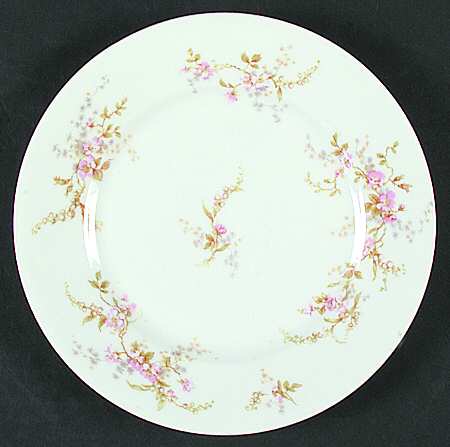 Schleiger 1239 by Haviland