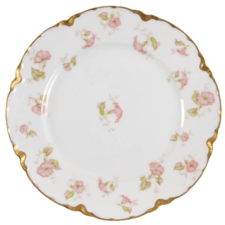 Schleiger 438-2 Salad Plate by Haviland