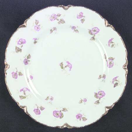 Schleiger 438-2 by Haviland