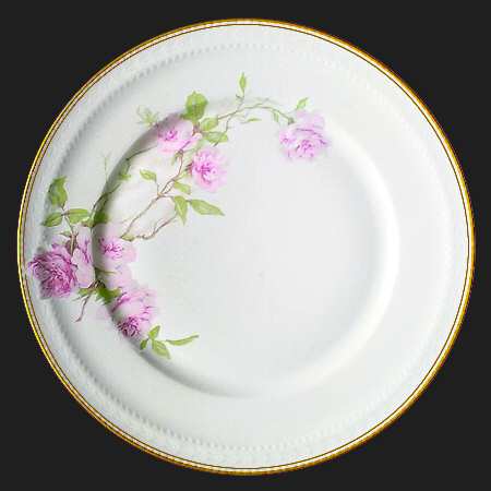 Schleiger 1151-8 by Haviland