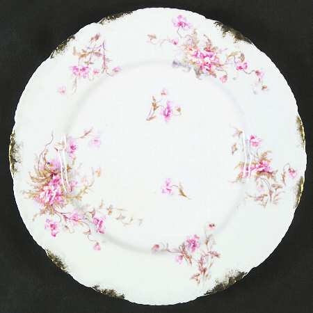 Schleiger 147-5 by Haviland