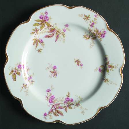 Schleiger 1163-1 by Haviland