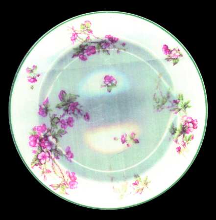 Schleiger 241-2 by Haviland