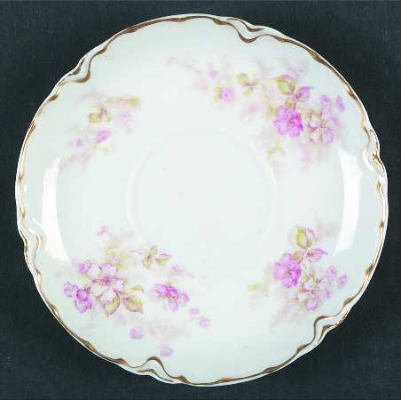 Schleiger 1172-3 by Haviland
