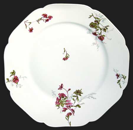 Schleiger 678-3 by Haviland