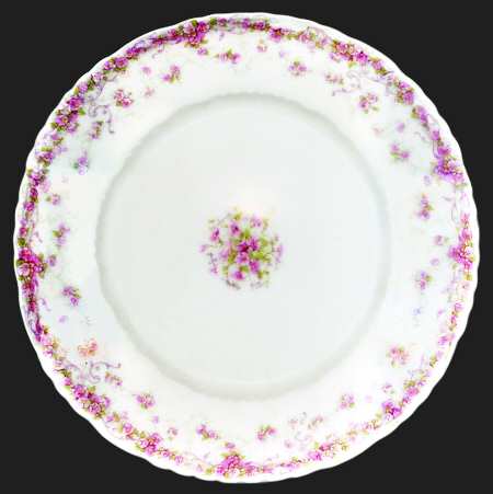 Schleiger 857-1 by Haviland
