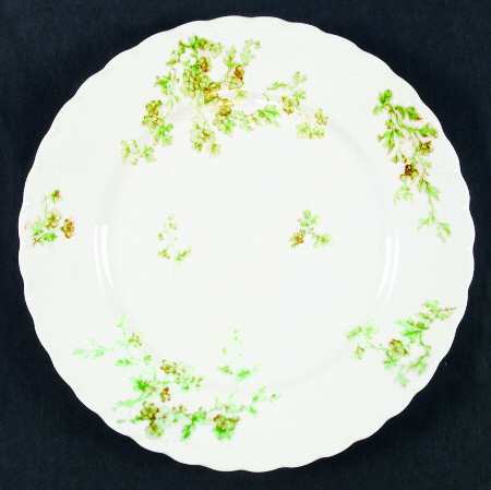Schleiger 58-3 by Haviland