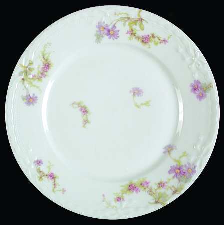 Schleiger 1041-1 by Haviland