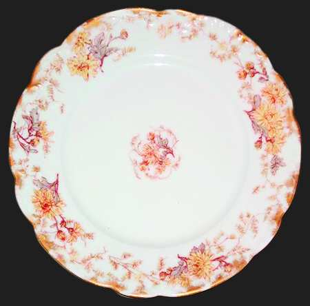 Schleiger 478-3 by Haviland