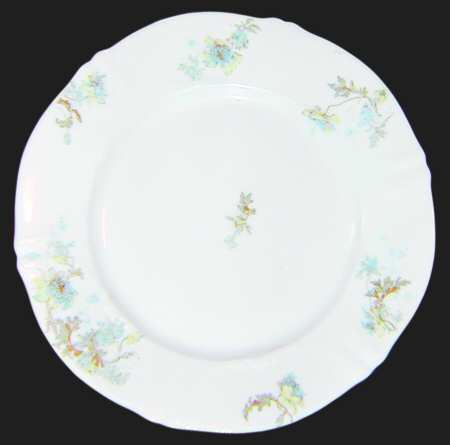 Schleiger 160-1 by Haviland