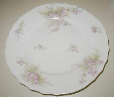Schleiger 609-1 by Haviland
